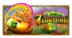 7 Clovers of Fortune