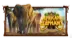 African Elephant