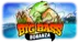 Big Bass Bonanza