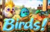 Birds! slot