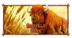 Buffalo King