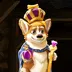 Doggy Riches Megaways