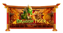 Dragon Tiger Fortunes