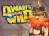 Dwarfs Gone Wild