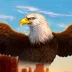 Eagle Riches