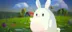 Fat Rabbit