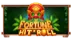Fortune Hit’n Roll