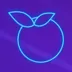 Fruit Flash