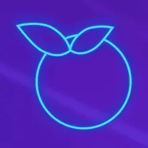 Fruit Flash