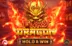 Fury Dragon – Hold & Win