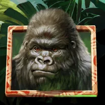 Gorilla Kingdom slot