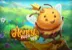 Honey Rush 100