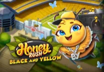 Honey Rush Black and Yellow