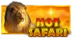 Hot Safari