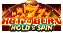 Hot to Burn Hold and Spin