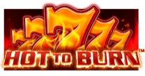 Hot to Burn