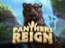 Panther's Reign slot