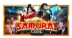 Samurai Code