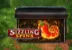 Sizzling Spins