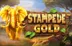 Stampede Gold