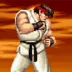 Street Fighter II: The World Warrior