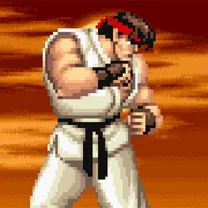Street Fighter II: The World Warrior