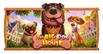 The Big Dog House
