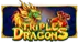 Triple Dragons