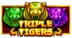 Triple Tigers