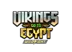 Vikings Go To Egypt Wild Fight