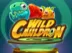 Wild Cauldron