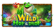 Wild Hop&Drop