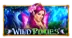 Wild Pixies slot