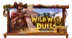 Wild West Duels
