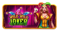 Wild Wild Joker