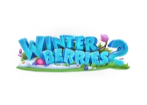 Winterberries 2