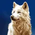 Wolf Stacks Megaways